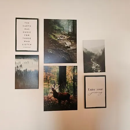 Haus Waldesruh, 3 Apartment Hemfurth-Edersee